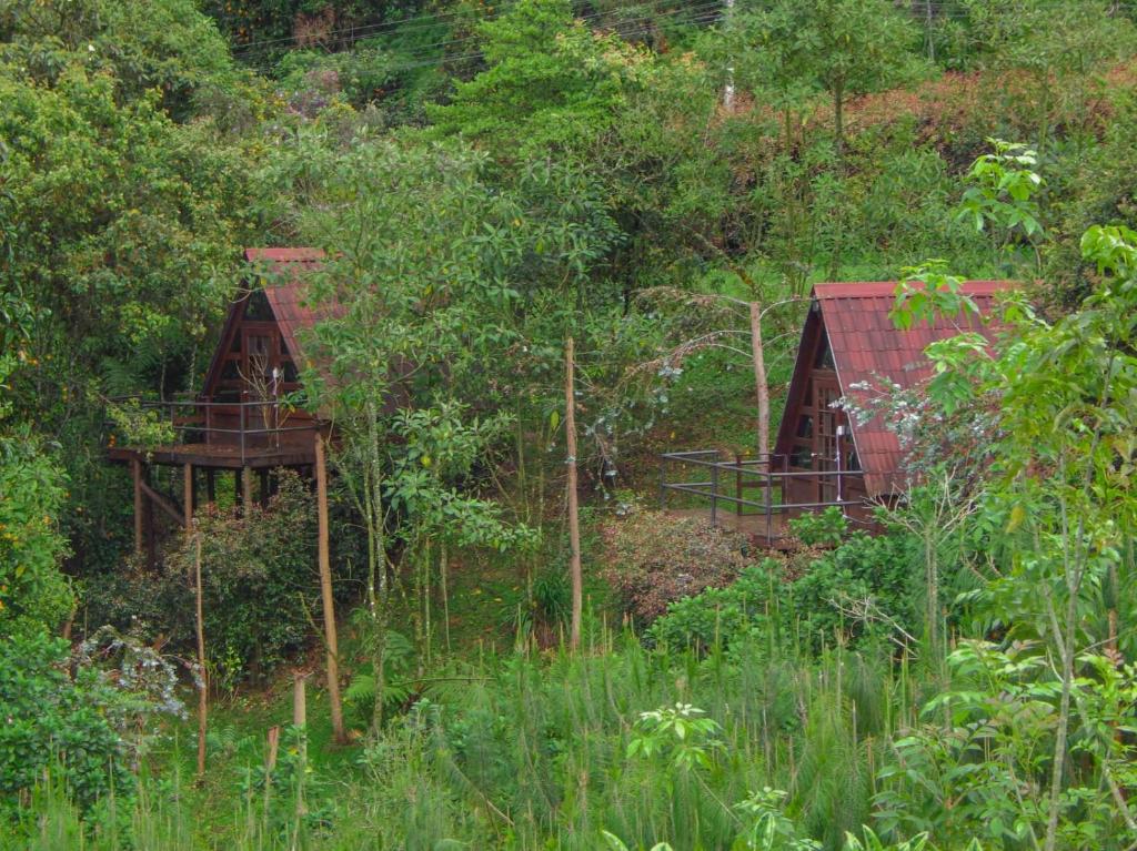 Chalets en Santa Elena en medio del Bosque