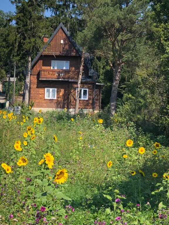 Vacationhome in the vineyards